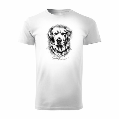 Koszulka z psem Golden Retriever Goldenem Retrieverem męska biała REGULAR